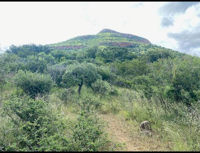 LAND FOR SALE IN LYDENBURG RURAL